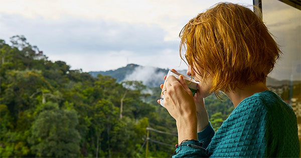 Mulher Tomando Café Olhando Horizonte